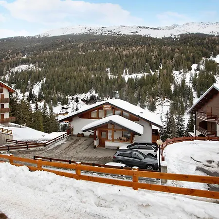 Appartement Primula 14 *